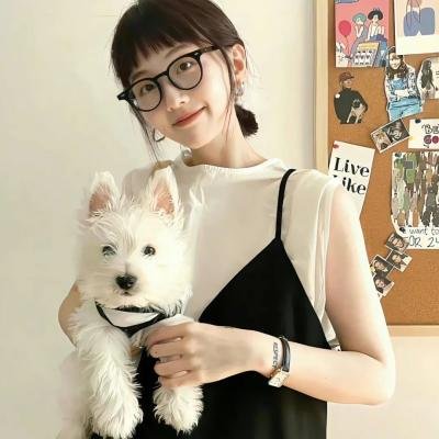 鹊巢鸠占